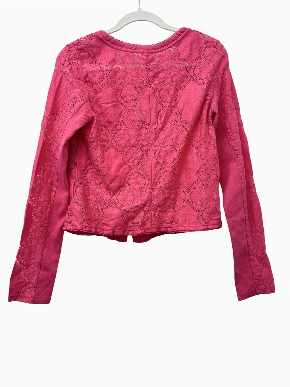 NWT Free People Jae Sheer Lace Knit Long Sleeve Top in Roughed Cheeks